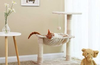 miglior-amaca-per-gatti--5