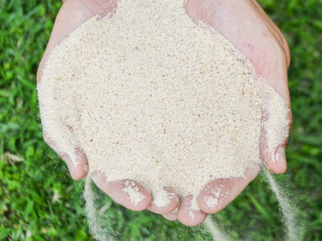 Sabbia Silicea: Cos'è, Come si Usa e Migliori Prodotti - ilmiogiardino.net