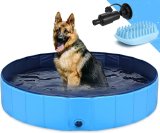 Piscinetta per Cani: Come Sceglierla e Migliori Modelli